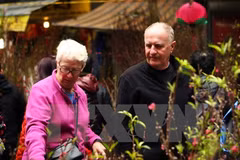 Foreigners enjoy Tet festival in Vietnam