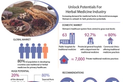 Unlock potential for herbal medicine industry