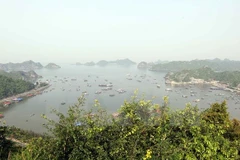 Lively experience at Cat Ba World Biosphere Reserve 
