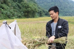 Effective use of soft loans fosters sustainable poverty reduction