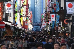 Vietnam becomes fastest growing tourism market of Japan