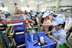 Vietnam’s economic growth has yet to reach strategic goal: expert 