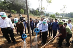 Tree planting - a traditional custom in Lunar New Year festival