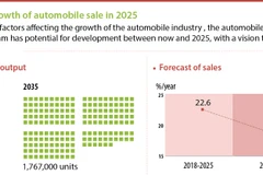 Forecast of growth of automobile sale in 2025