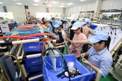 Vietnam’s economic growth has yet to reach strategic goal: expert 