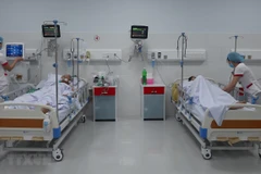 Taking care of patients (Photo: VietnamPlus)