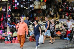 Business households develop into enterprises