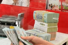 SBV’s interest rate cut enables banks to access lower-cost capital