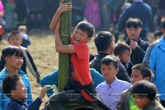 Gau Tao festival - special feature of Mong ethnic people