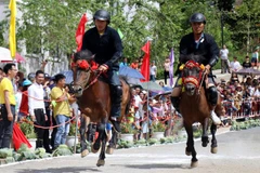 Fansipan Horse Race ‘Galloping Horses’ 2019
