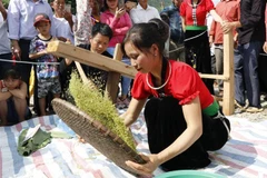 Tu Le young sticky rice flake festival