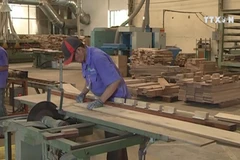 VPA/FLEGT to take effect in early June 2019