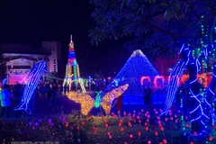 Light festival celebrates Hai Duong’s recognition of first-tier city