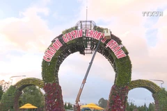 Da Lat all set for Tet Flower Festival