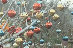 Sa Pa winter festival 2018 in full swing 