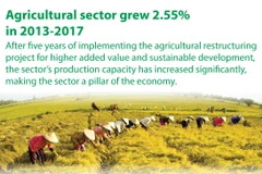 Agricultural sector grew 2.55% in 2013-2017
