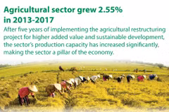 Agricultural sector grew 2.55% in 2013-2017