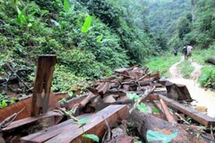 Southern localities review forest protection activities