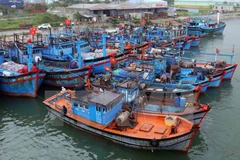 Quang Tri fishing vessels to be equipped with LED lights