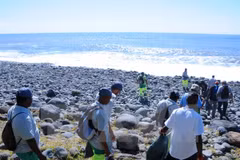 Search for MH370 debris halted in Reunion island