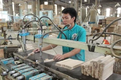 Over 1-trillion-VND MDF factory built in Bac Kan