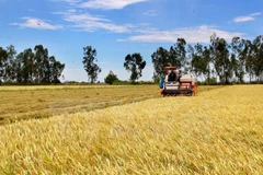 Panama businesses wish to establish rice-production ties with Vietnam