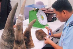  Synthetic rhino horns could not solve poaching problem