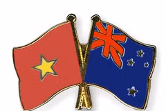HCM City, New Zealand seek cooperation cross sectors