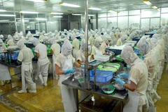 Philippine enterprises eye cooperation opportunities in Vietnam