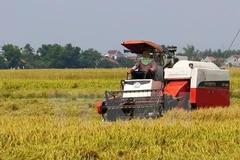 Water resources key for agriculture restructuring