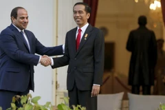Indonesia, Egypt strengthen anti-terrorism cooperation