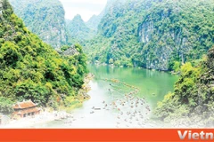 Gold covers Tam Coc, Trang An in Ninh Binh