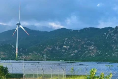 Ninh Thuan strives to become renewable energy hub