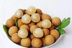 Hung Yen longan debuts on e-commerce market