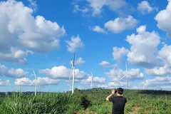 Foreign partnerships vital for Vietnam’s net zero emissions