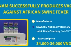 Vietnam successfully produces vaccine against African swine fever