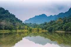 Cuc Phuong national park among leading national parks in Asia