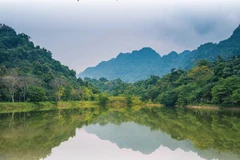 Cuc Phuong national park among leading national parks in Asia