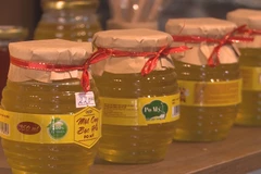 Building a brand for mint flower honey from Dong Van Karst Plateau