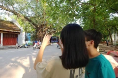 Partnerships needed to optimise Vietnam’s cultural industry potential