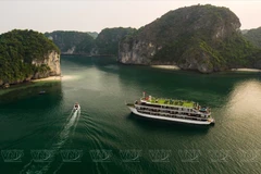 Exploring the beauty of Lan Ha Bay 