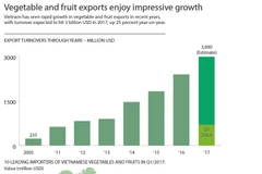 Vegetable and fruit exports enjoy impressive growth