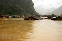 Prime Minister directs provision of seeds to flood-hit provinces