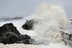 Up to 13 tropical storms, depressions to enter East Sea this year