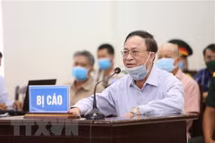 Former naval commander jailed over land management violations 
