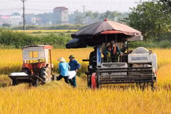 Policies needed to promote mechanical engineering in agriculture