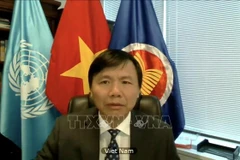 Vietnam reviews 2020 performance of ASEAN Committee in New York