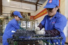  Vietnam is Indonesia’s competitor in foreign investment attraction: Minister