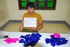 Trafficker of 10,000 drug pills arrested in Dien Bien