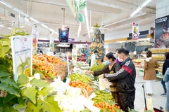 Project supporting farmers in Gia Lai launched